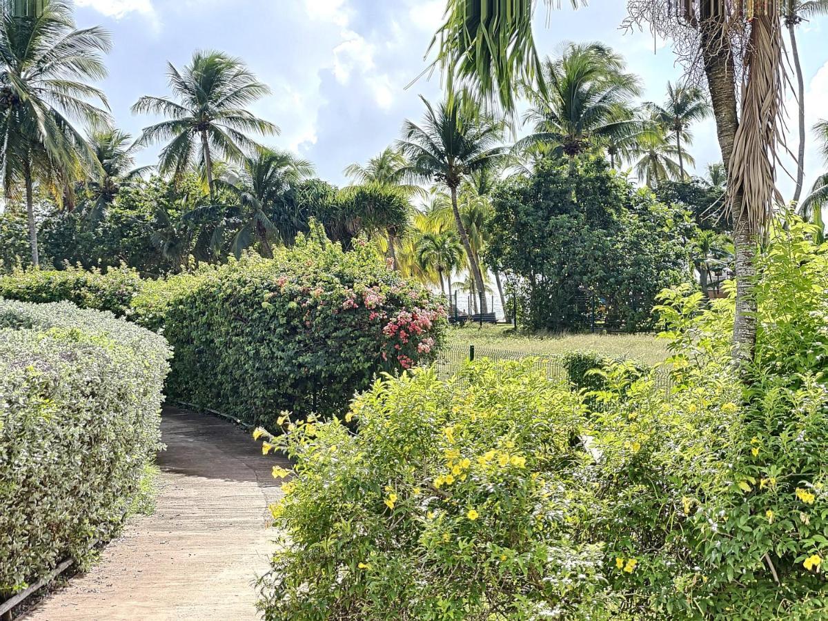 Blue Paradise Studio Avec Acces Privatif Plage Le Gosier  Buitenkant foto